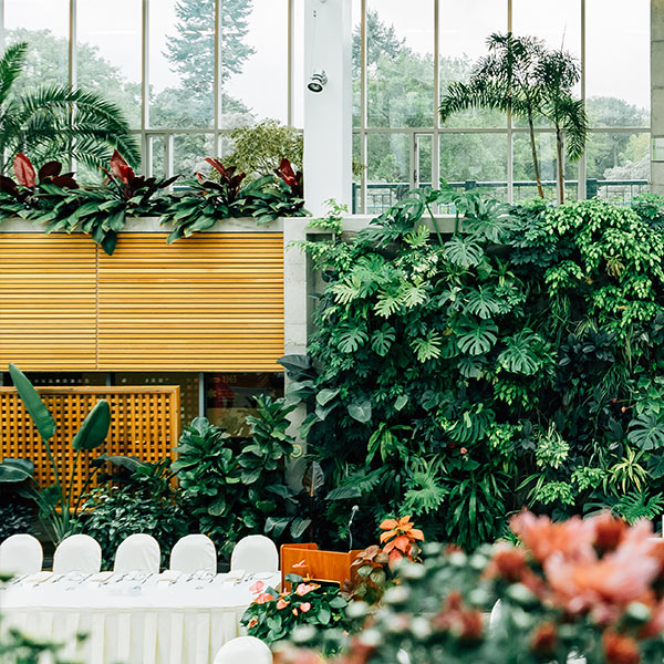 مسافرت به ناکجا