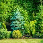 بازسازی درونی