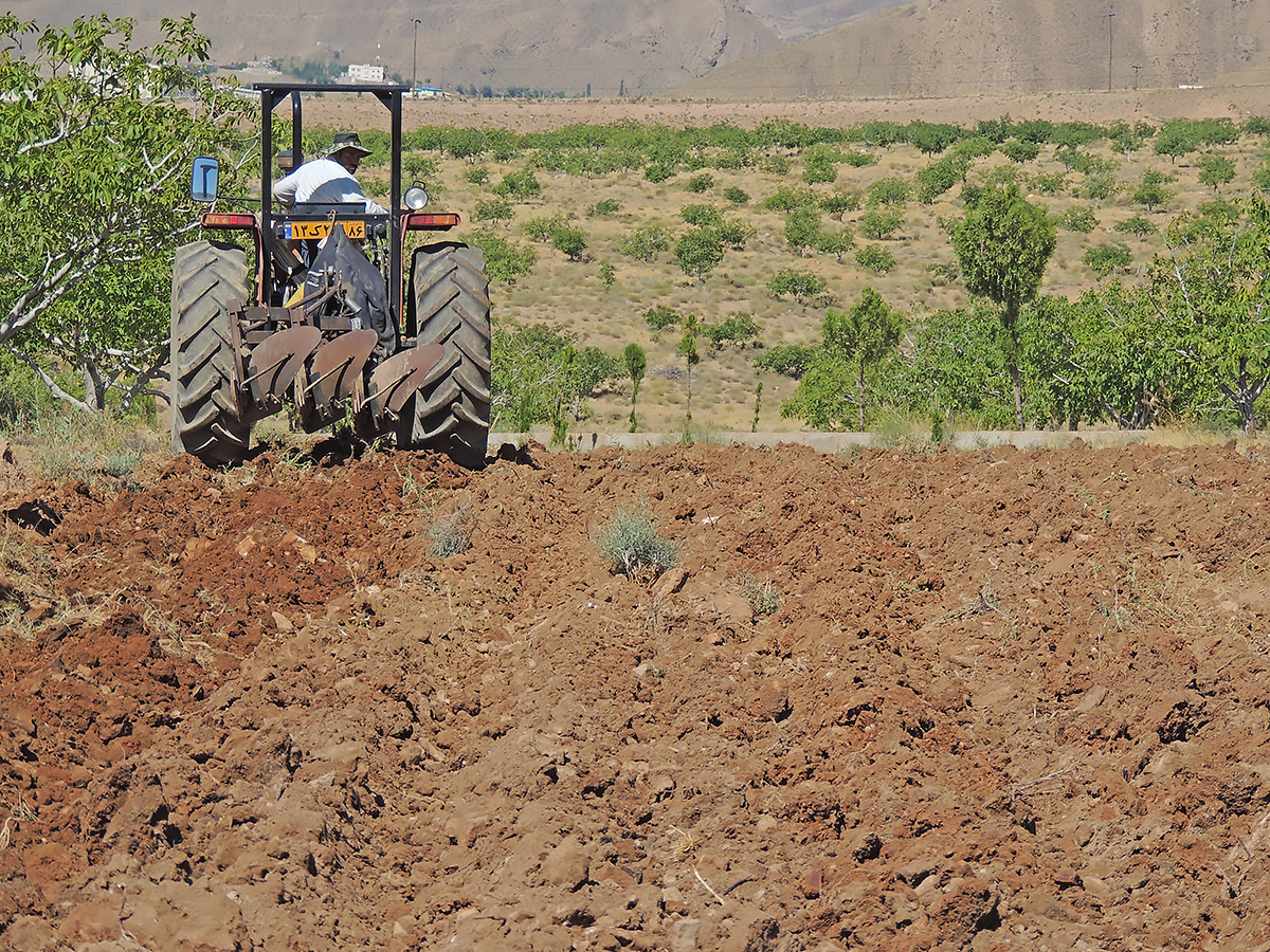 شرکت کشت و صنعت شهمیرزاد