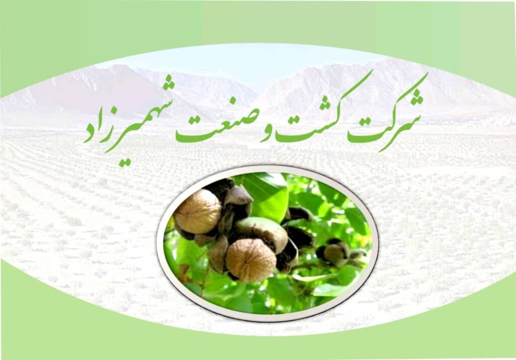 اطلاعیه اطلاعیه